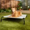 Frisco Steel-Framed Elevated Dog Bed 1 Frisco Steel-Framed Elevated Dog Bed -Chewy 112076 MAIN. AC SS1800 V1674156718