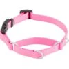 Frisco Solid Nylon Martingale Dog Collar With Buckle 1 Frisco Solid Nylon Martingale Dog Collar With Buckle -Chewy 139177 Main. AC SS1800 V1582829287