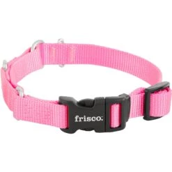 Frisco Solid Nylon Martingale Dog Collar With Buckle 12 Frisco Solid Nylon Martingale Dog Collar With Buckle -Chewy 139177 PT3. AC SS1800 V1620068872