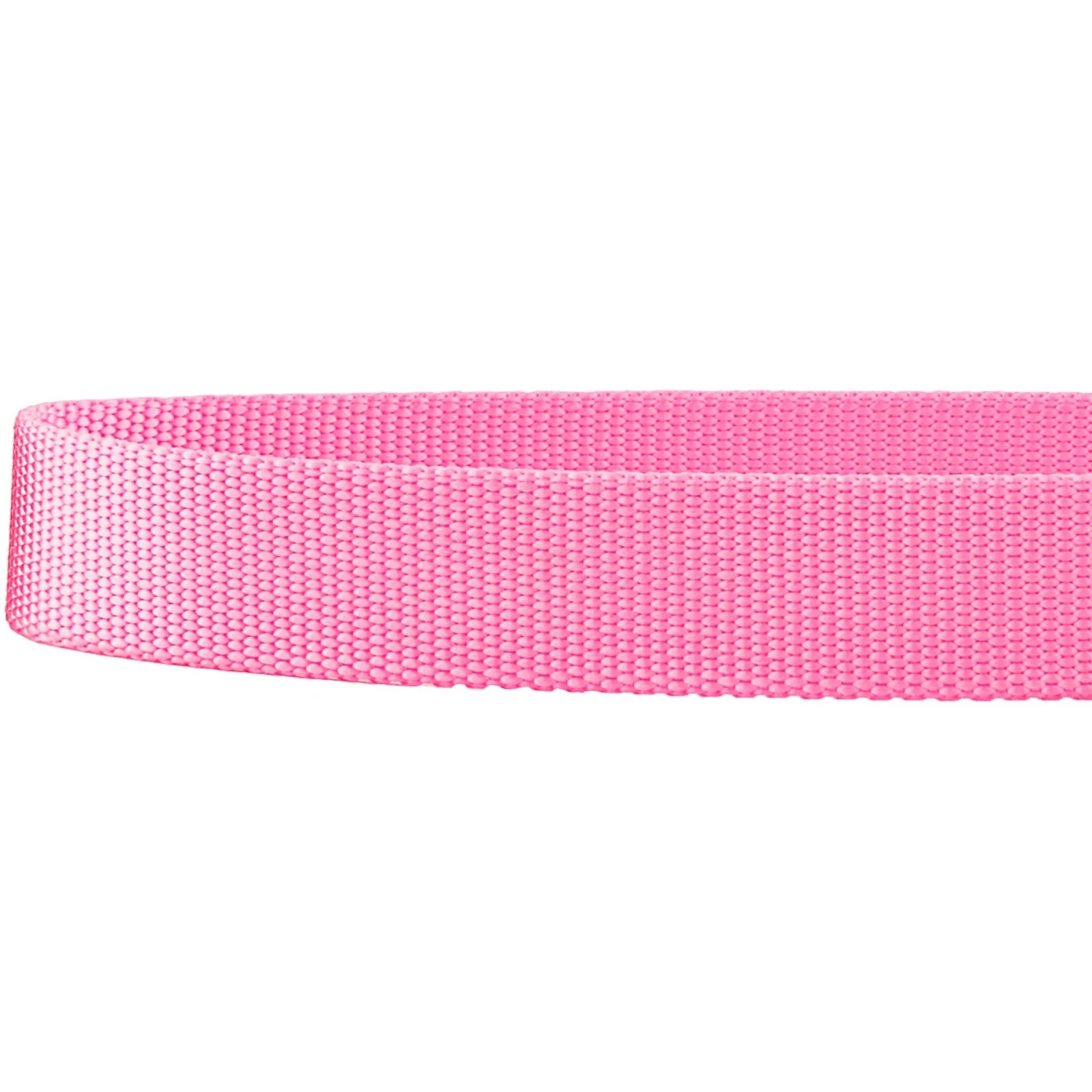 Frisco Solid Nylon Martingale Dog Collar With Buckle 8 Frisco Solid Nylon Martingale Dog Collar With Buckle - Image 6