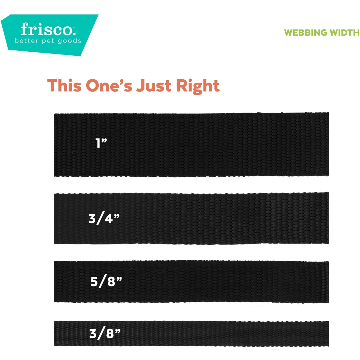 Frisco Solid Nylon Martingale Dog Collar With Buckle 9 Frisco Solid Nylon Martingale Dog Collar With Buckle - Image 7