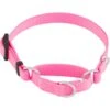 Frisco Solid Nylon Slip-On Martingale Dog Collar