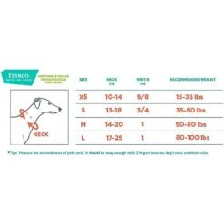 Frisco Solid Nylon Slip-On Martingale Dog Collar 8 Frisco Solid Nylon Slip-On Martingale Dog Collar -Chewy 139181 PT1. AC SS1800 V1620068233