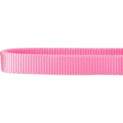 Frisco Solid Nylon Slip-On Martingale Dog Collar 10 Frisco Solid Nylon Slip-On Martingale Dog Collar -Chewy 139181 PT3. AC SS1800 V1620069443