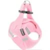 Frisco Small Breed Soft Vest Step In Back Clip Dog Harness 2 Frisco Small Breed Soft Vest Step In Back Clip Dog Harness -Chewy 139821 MAIN. AC SS1800 V1699631626