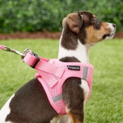 Frisco Small Breed Soft Vest Step In Back Clip Dog Harness -Chewy 139821 PT5. AC SS1800 V1561573781