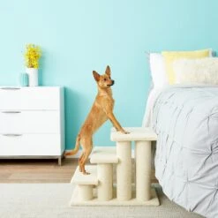 Frisco 18.5 Or 24.5 Inch 2-in-1 Cat & Dog Stairs 15 Frisco 18.5 Or 24.5 Inch 2-in-1 Cat & Dog Stairs -Chewy 140154 PT6. AC SS1800 V1584453442