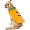 Frisco Pumpkin Dog & Cat Costume 2 Frisco Pumpkin Dog & Cat Costume -Chewy 144446 MAIN. AC SS1800 V1540495184
