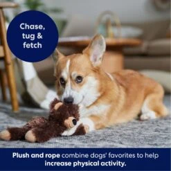 Frisco Bear Plush With Inside Rope Squeaky Dog Toy 12 Frisco Bear Plush With Inside Rope Squeaky Dog Toy -Chewy 147061 PT4. AC SS1800 V1695659155