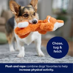 Frisco Fox Plush With Inside Rope Squeaky Dog Toy -Chewy 147065 PT4. AC SS1800 V1695671059