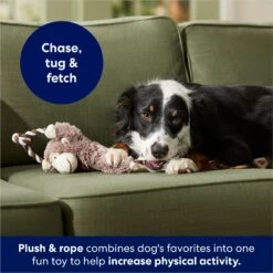 Frisco Monkey Plush With Rope Squeaky Dog Toy 10 Frisco Monkey Plush With Rope Squeaky Dog Toy -Chewy 147067 PT4. AC SS1800 V1686079871