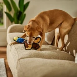 Frisco Duck Flat Plush Squeaky Dog Toy -Chewy 147069 PT3. AC SS1800 V1674158058