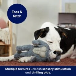 Frisco Wolf Muscle Plush Squeaky Dog Toy -Chewy 147082 PT5. AC SS1800 V1691776574