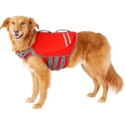Frisco Neoprene Dog Life Jacket