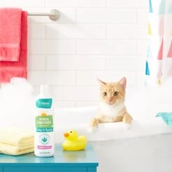 Frisco Oatmeal Conditioner With Aloe For Dogs & Cats, Almond Scent 9 Frisco Oatmeal Conditioner With Aloe For Dogs & Cats, Almond Scent -Chewy 152579 PT3. AC SS1800 V1551302925