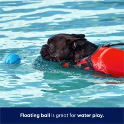 Frisco Foam Rubber Floating Fetch Ball No Squeak Dog Toy 11 Frisco Foam Rubber Floating Fetch Ball No Squeak Dog Toy -Chewy 152798 PT3. AC SS1800 V1686579688
