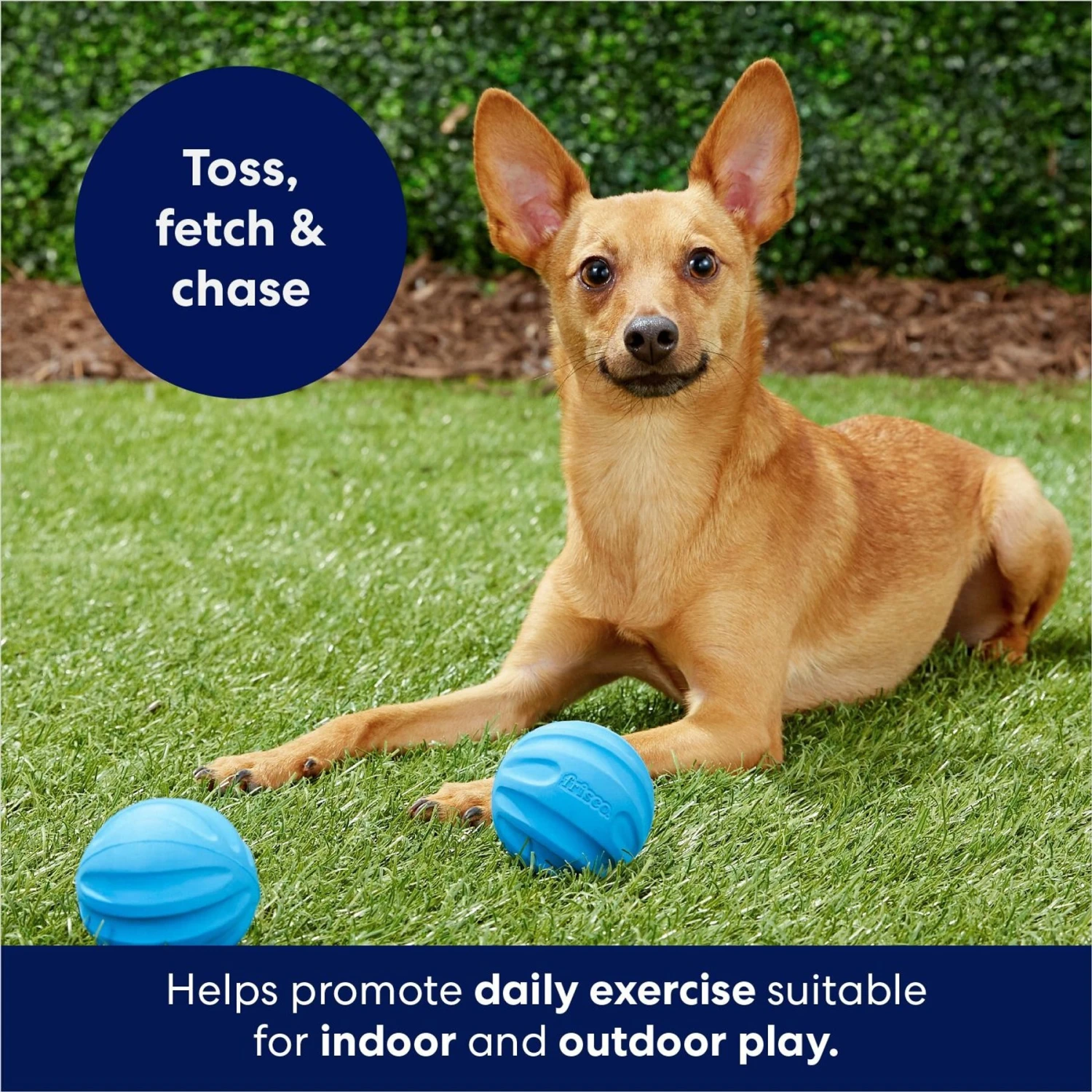 Frisco Foam Rubber Floating Fetch Ball No Squeak Dog Toy 7 Frisco Foam Rubber Floating Fetch Ball No Squeak Dog Toy - Image 5