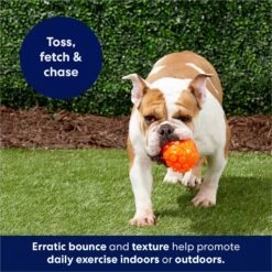 Frisco Fetch Squeaky TPR Ball Dog Toy 12 Frisco Fetch Squeaky TPR Ball Dog Toy -Chewy 152801 PT4. AC SS1800 V1686580091