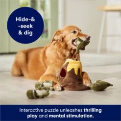Frisco Volcano Hide & Seek Puzzle Plush Squeaky Dog Toy 10 Frisco Volcano Hide & Seek Puzzle Plush Squeaky Dog Toy -Chewy 152810 PT3. AC SS1800 V1686079871
