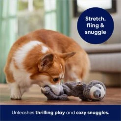 Frisco Sloth Bungee Plush Squeaky Dog Toy 12 Frisco Sloth Bungee Plush Squeaky Dog Toy -Chewy 152826 PT5. AC SS1800 V1686579214