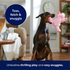 Frisco Corduroy Plush Squeaking Pig Dog Toy 12 Frisco Corduroy Plush Squeaking Pig Dog Toy -Chewy 152832 PT4. AC SS1800 V1695671001