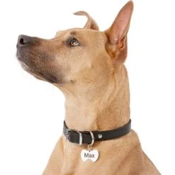 Frisco Stainless Steel Personalized Dog & Cat ID Tag, Bow Tie 14 Frisco Stainless Steel Personalized Dog & Cat ID Tag, Bow Tie -Chewy 152997 PT5. AC SS1800 V1540562104