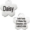Frisco Stainless Steel Personalized Dog & Cat ID Tag, Flower 2 Frisco Stainless Steel Personalized Dog & Cat ID Tag, Flower -Chewy 153002 MAIN. AC SS1800 V1540562246