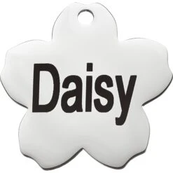 Frisco Stainless Steel Personalized Dog & Cat ID Tag, Flower 11 Frisco Stainless Steel Personalized Dog & Cat ID Tag, Flower -Chewy 153002 PT2. AC SS1800 V1548964685