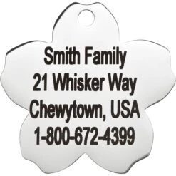 Frisco Stainless Steel Personalized Dog & Cat ID Tag, Flower 12 Frisco Stainless Steel Personalized Dog & Cat ID Tag, Flower -Chewy 153002 PT3. AC SS1800 V1548964703