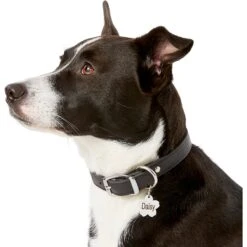 Frisco Stainless Steel Personalized Dog & Cat ID Tag, Flower 14 Frisco Stainless Steel Personalized Dog & Cat ID Tag, Flower -Chewy 153002 PT5. AC SS1800 V1540562264