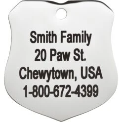Frisco Stainless Steel Personalized Dog & Cat ID Tag, Badge 12 Frisco Stainless Steel Personalized Dog & Cat ID Tag, Badge -Chewy 153009 PT3. AC SS1800 V1548964788