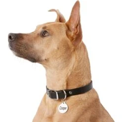 Frisco Personalized Dog & Cat Tag, Round 14 Frisco Personalized Dog & Cat Tag, Round -Chewy 153015 PT5. AC SS1800 V1540562586