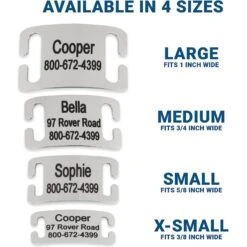 Frisco Stainless Steel Slide-On Personalized Dog & Cat Tag, Open Design 9 Frisco Stainless Steel Slide-On Personalized Dog & Cat Tag, Open Design -Chewy 153050 PT3. AC SS1800 V1644013293