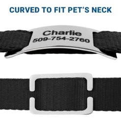 Frisco Stainless Steel Slide-On Personalized Dog & Cat Tag, Open Design 10 Frisco Stainless Steel Slide-On Personalized Dog & Cat Tag, Open Design -Chewy 153050 PT4. AC SS1800 V1644016599