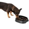 Frisco Non-Skid Slow Feeder Dog & Small Pet Bowl 2 Frisco Non-Skid Slow Feeder Dog & Small Pet Bowl -Chewy 155648 MAIN. AC SS1800 V1578432852