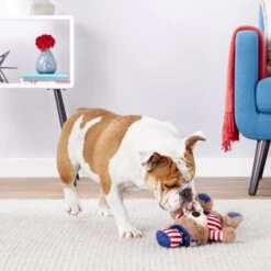 Frisco American Flag Bear Plush Squeaky Dog Toy -Chewy 157187 PT2. AC SS1800 V1559764047