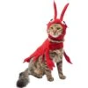 Frisco Red Lobster Dog & Cat Costume 2 Frisco Red Lobster Dog & Cat Costume -Chewy 158723 MAIN. AC SS1800 V1659023206