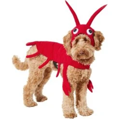 Frisco Red Lobster Dog & Cat Costume 12 Frisco Red Lobster Dog & Cat Costume -Chewy 158723 PT2. AC SS1800 V1659023725