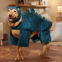 Frisco Stegosaurus Dinosaur Dog & Cat Costume -Chewy 158777 PT7. AC SS1800 V1567180627