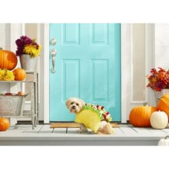 Frisco Taco Dog & Cat Costume 11 Frisco Taco Dog & Cat Costume -Chewy 158826 PT3. AC SS1800 V1567175798