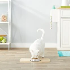 Frisco Non-Skid Stainless Steel Bowl -Chewy 159860 PT4. AC SS1800 V1570543031