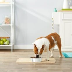 Frisco Stainless Steel Dog & Cat Bowl 8 Frisco Stainless Steel Dog & Cat Bowl -Chewy 159867 PT3. AC SS1800 V1570543097