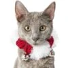 Frisco Jingle Bells Dog & Cat Holiday Collar With Bells, 1 Count 2 Frisco Jingle Bells Dog & Cat Holiday Collar With Bells, 1 Count -Chewy 160063 MAIN. AC SS1800 V1663948848