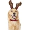 Frisco Holiday Antler Headband & Bell Collar Dog & Cat Costume 1 Frisco Holiday Antler Headband & Bell Collar Dog & Cat Costume -Chewy 160658 Main. AC SS1800 V1568818034