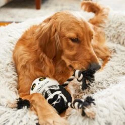 Frisco Halloween Skeleton Plush With Rope Squeaky Dog Toy -Chewy 161358 PT6. AC SS1800 V1597599370