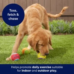 Frisco Birthday Fetch Squeaky Tennis Ball Dog Toy -Chewy 162914 PT5. AC SS1800 V1692020098