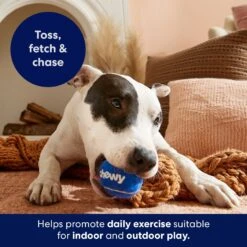 Frisco Chewy Fetch Squeaky Tennis Ball Dog Toy 12 Frisco Chewy Fetch Squeaky Tennis Ball Dog Toy -Chewy 164314 PT5. AC SS1800 V1691783910