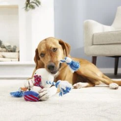 Frisco Holiday Snowman Plush With Rope Squeaky Dog Toy -Chewy 164645 PT2. AC SS1800 V1568910233