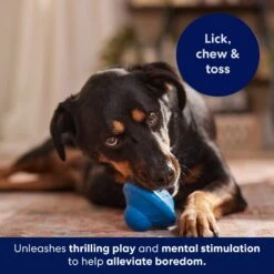 Frisco Flying Saucer Rubber Treat Dispenser Dog Toy 14 Frisco Flying Saucer Rubber Treat Dispenser Dog Toy -Chewy 164757 PT5. AC SS1800 V1691784247