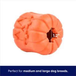 Frisco Halloween Pumpkin Rubber Treat Dispenser Dog Toy, Medium/Large 11 Frisco Halloween Pumpkin Rubber Treat Dispenser Dog Toy, Medium/Large -Chewy 164763 PT2. AC SS1800 V1689878018